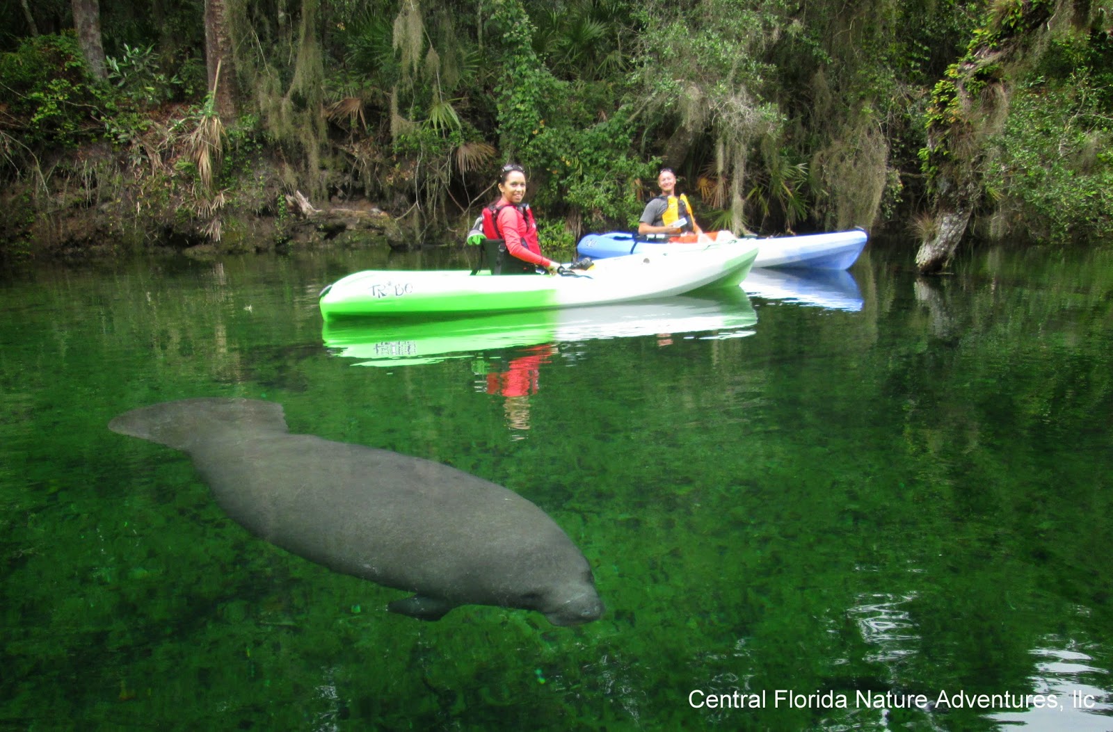 Canoeing around redhead fl really Canoeing around redhead fl phrase